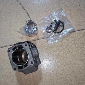 ECHO CS-501SX genuine 44mm piston kit detail view rings pin gaskets included
