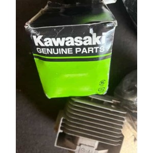 Kawasaki TE059D genuine cylinder block OEM 11005-2149 main view