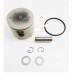 ECHO CS-280TES CS-271T GENUINE PISTON KIT P021-044060 FOR SHINDAIWA 280TS 300TS 26.9CC TOP HANDLE CHAINSAWS Pro Kit Power Loss Fix