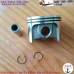 STIHL BR600 Genuine Piston Kit 50mm 4282-030-2005 for BR500 BR550 BR700 64.8CC Backpack Leaf Blower Repair Complete OEM Rings, Clips, Pin Assembly