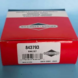 Briggs and Stratton 843793 piston ring set detail view compression oil rings included